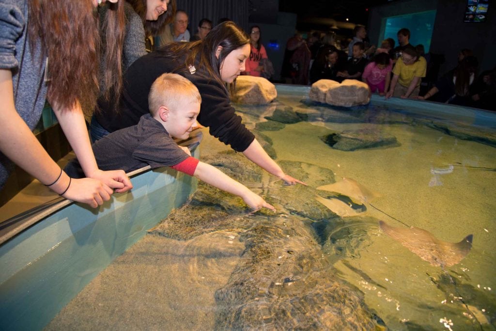 things-to-do-in-lima-ohio-Toledo-Zoo-Aquarium