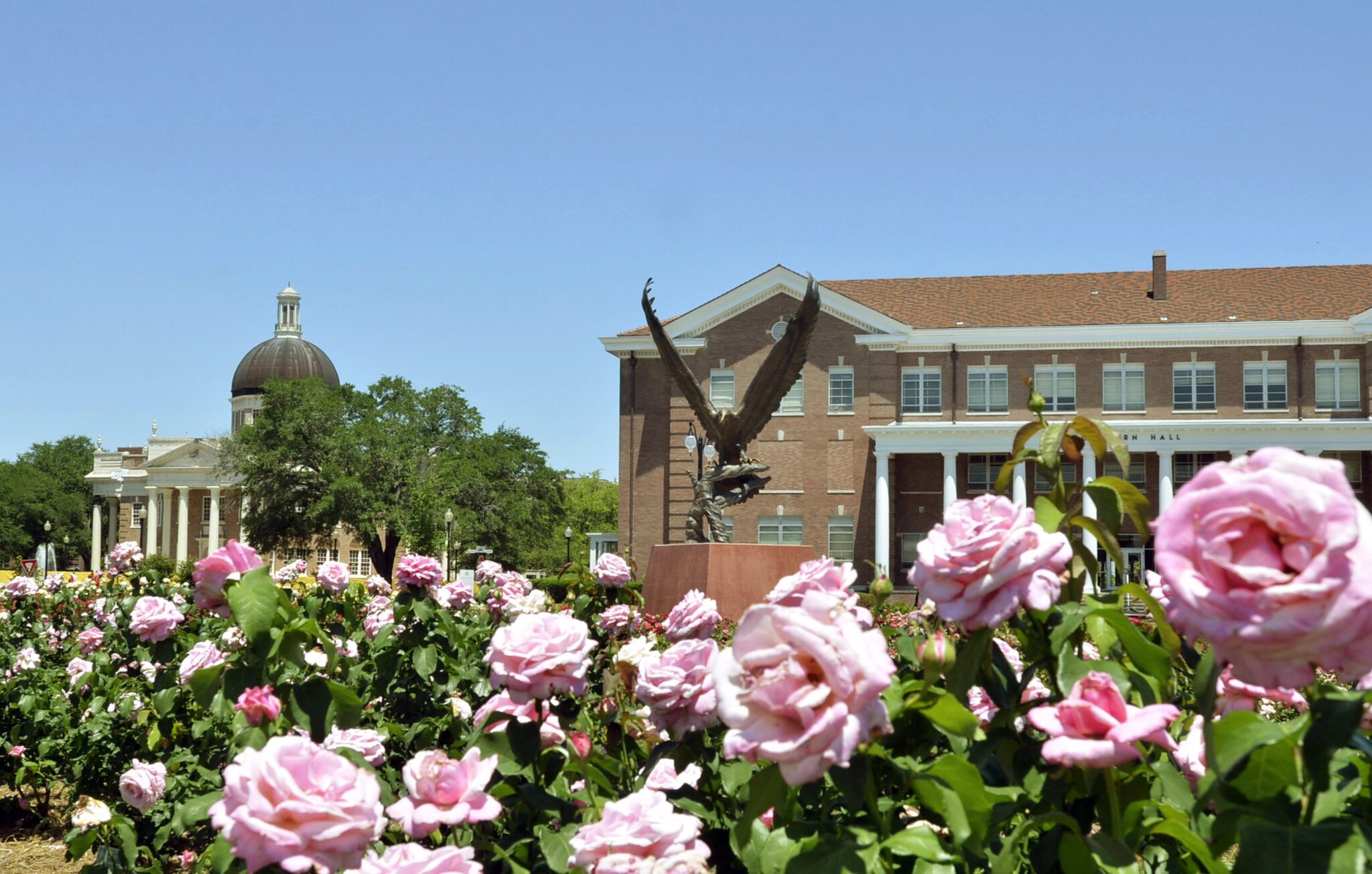 27 Best & Fun Things To Do In Hattiesburg, MS Touristchief