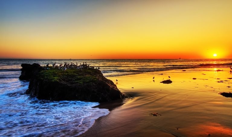 20 Best & Fun Things to Do in Goleta, CA – Touristchief