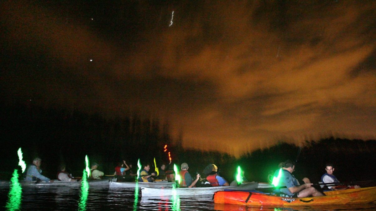 17 Best & Fun Things To Do In Merritt Island, Florida Touristchief