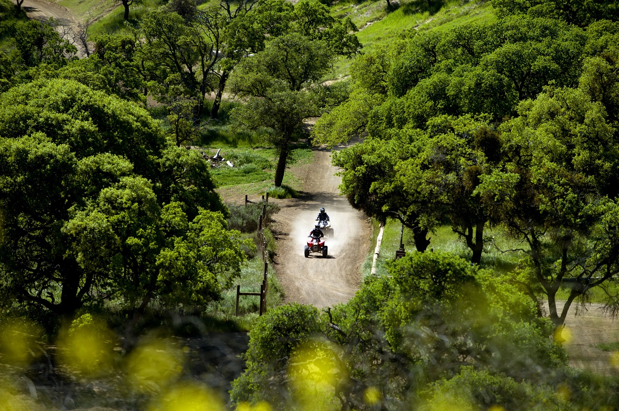 things-to-do-in-Tracy-CA-Carnegie-State-Vehicular-Recreational-Centre