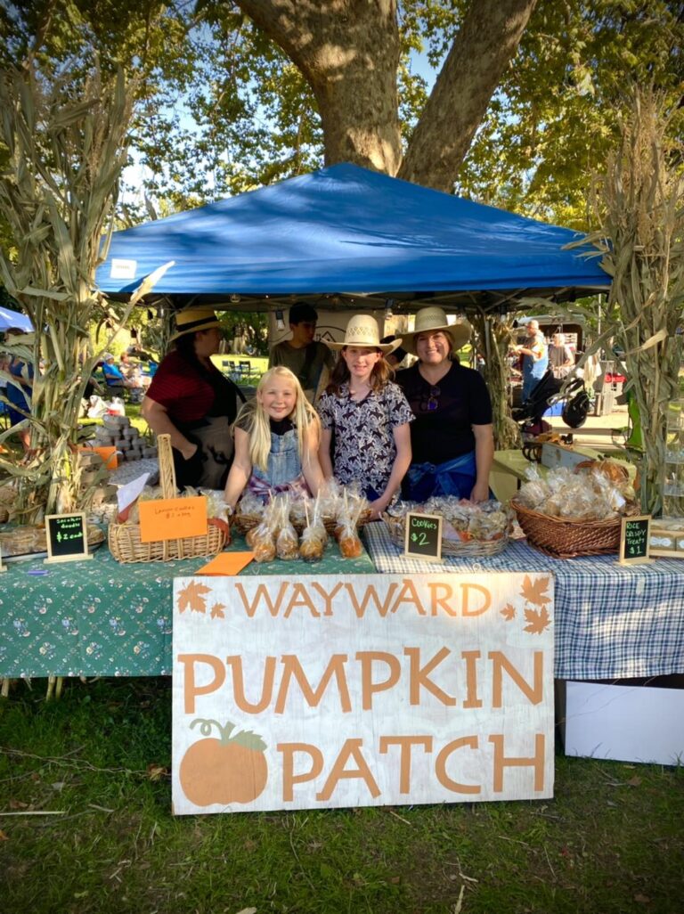 15 Best & Fun Things To Do In Angels Camp, CA Touristchief