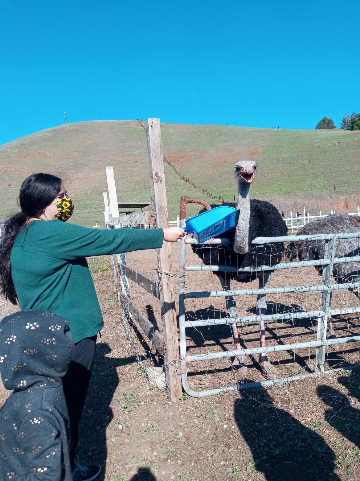 22 Best & Fun Things To Do In Gilroy, CA Touristchief