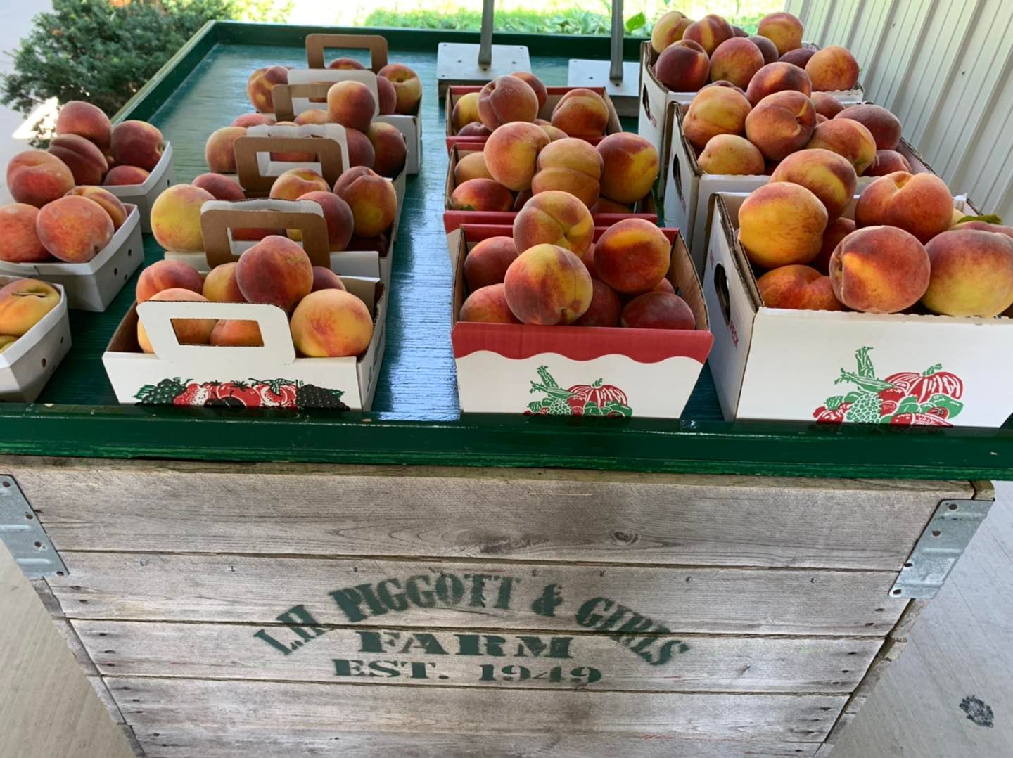 20 Best & Fun Things To Do In Benton Harbor, MI Touristchief