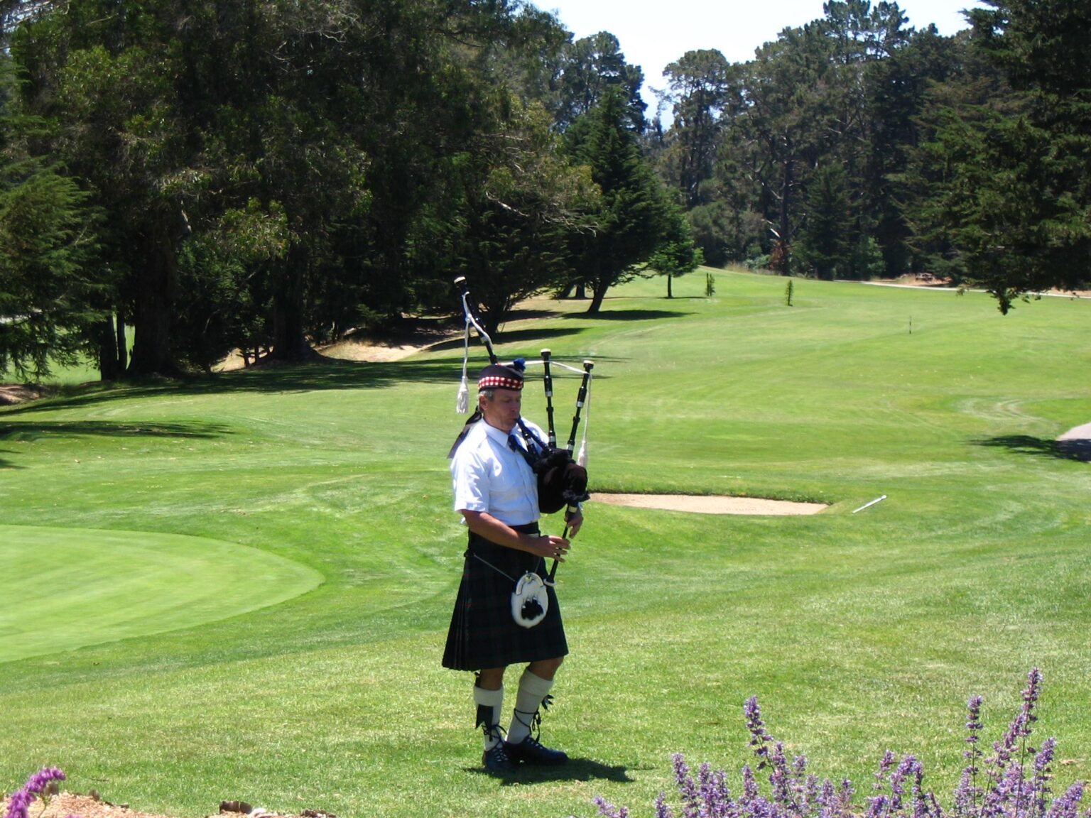 18 Best & Fun Things To Do In Aptos, CA Touristchief