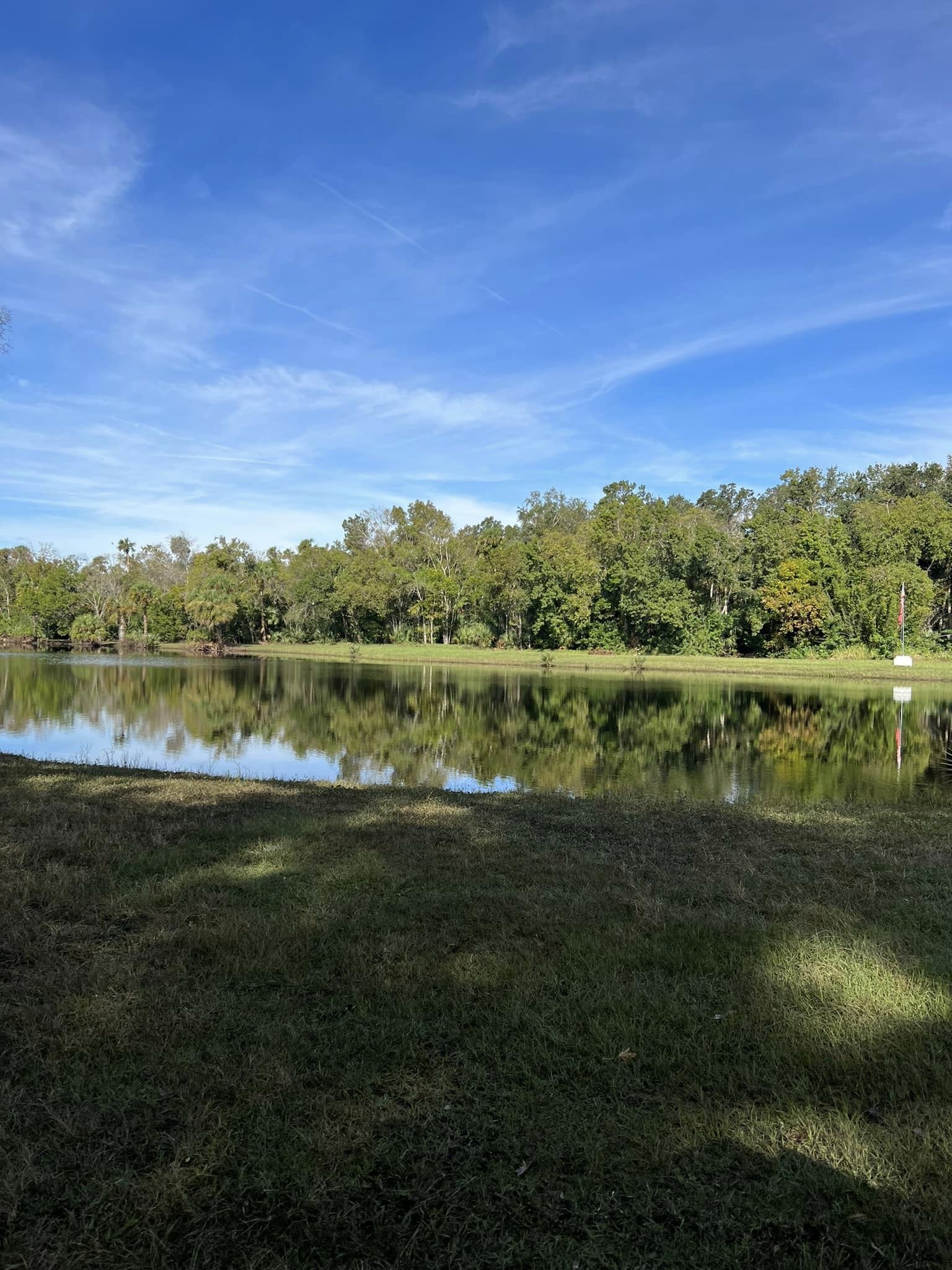 22 Best & Fun Things To Do In Apollo Beach Touristchief