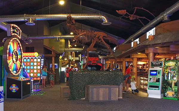 things-to-do-in-Crestview-FL-Wild-Willys-Adventure-Zone
