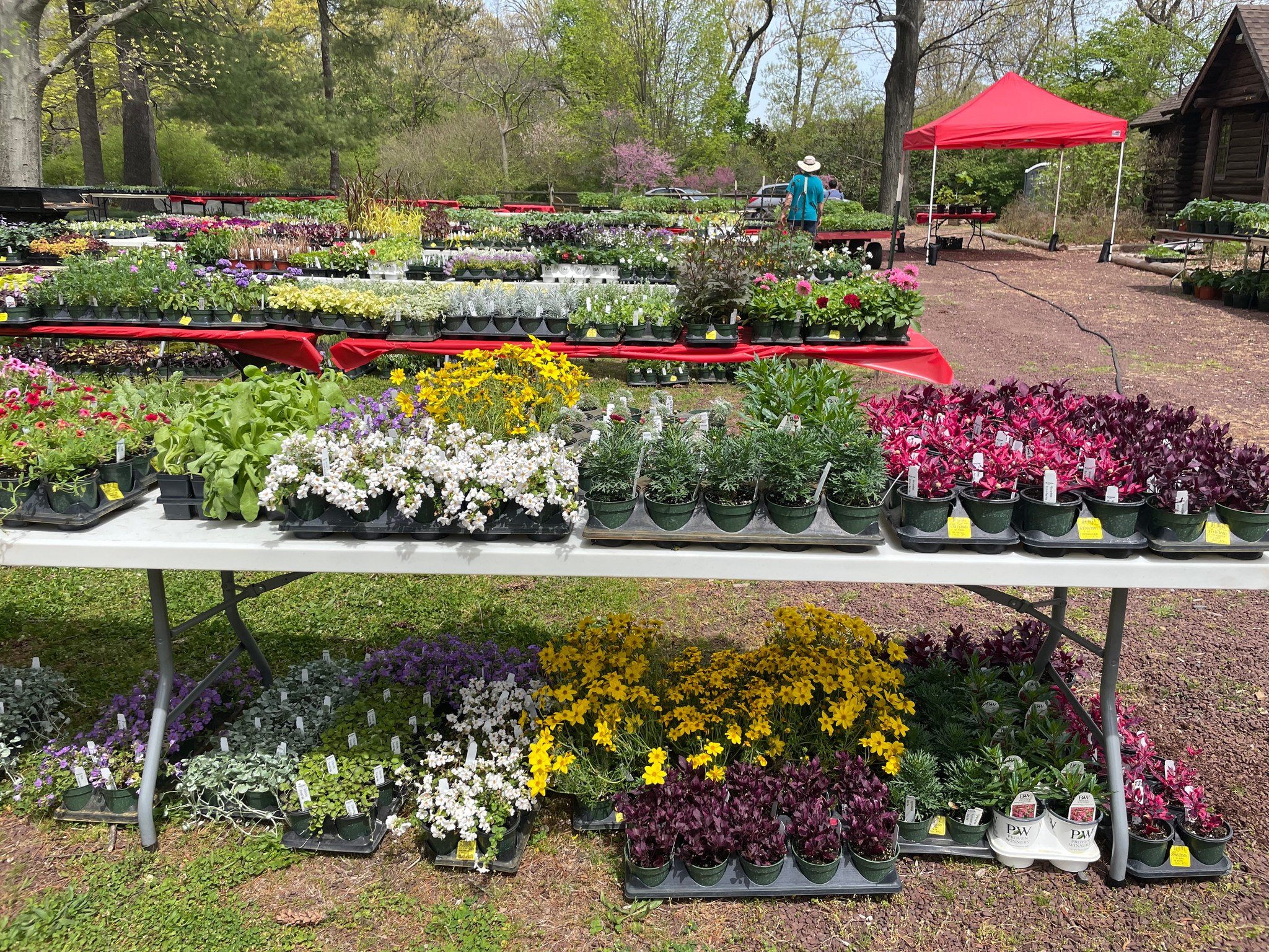 things-to-do-in-New-Brunswick-NJ-Rutgers-Gardens