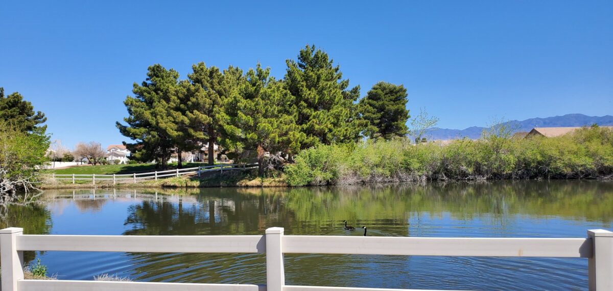 21 Best & Fun Things To Do In Pahrump, NV Touristchief