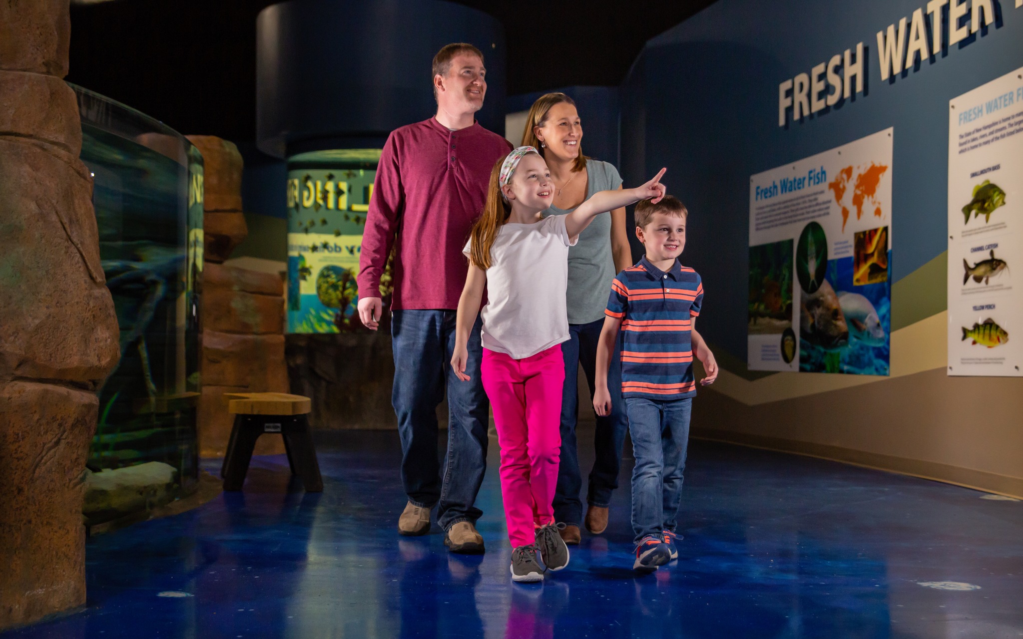 things-to-do-in-Barlett-NH-Living-Shores-Aquarium