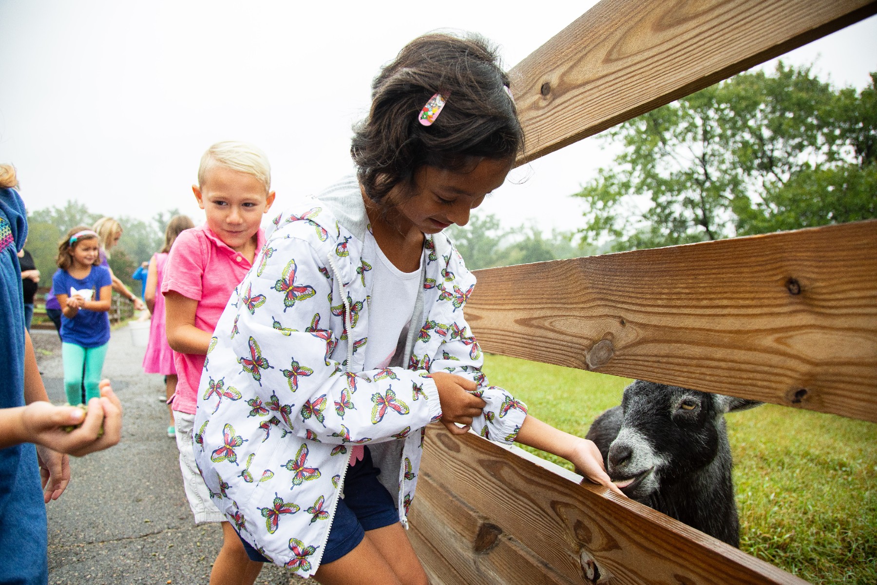 things-to-do-in-Chantilly-VA-Maymont