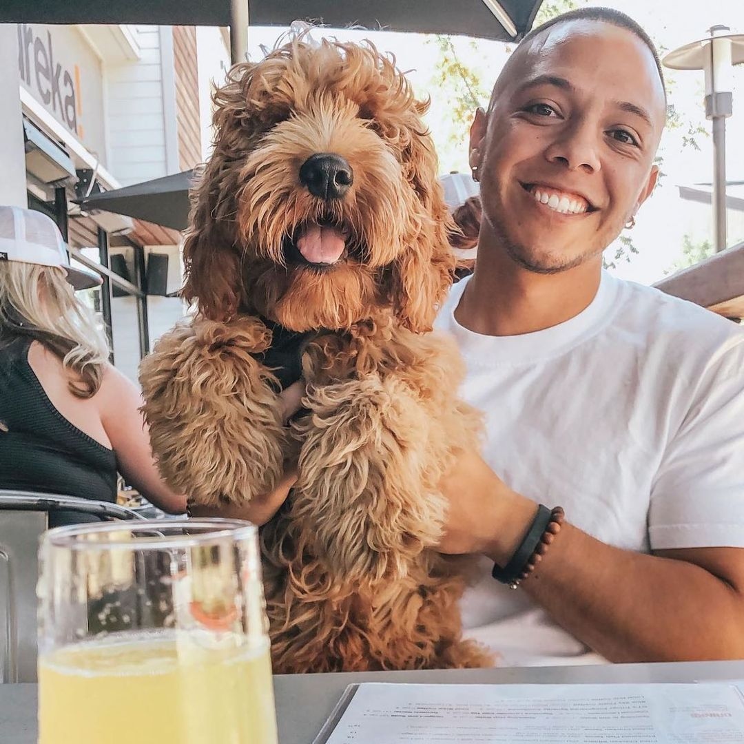 21 Best & Fun Things To Do In Claremont, CA Touristchief