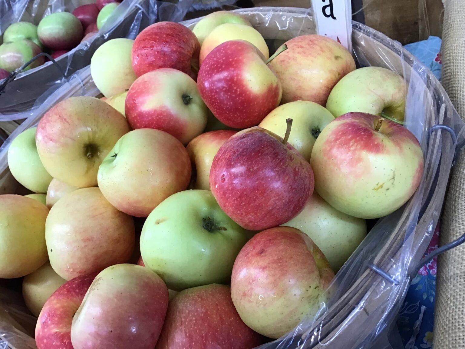 26 Best & Fun Things To Do In Cullman, AL Touristchief