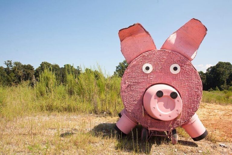 14 Best & Fun Things To Do In Cordele, GA Touristchief